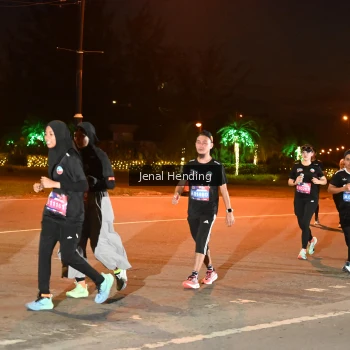 Runner Photo 3540071