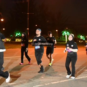 Runner Photo 3540081