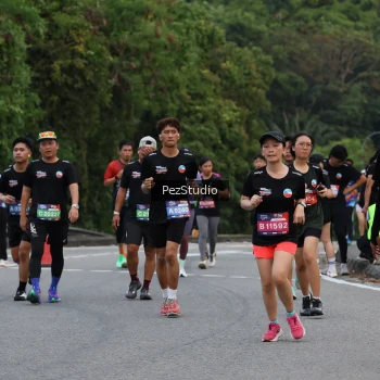Runner Photo 3540159