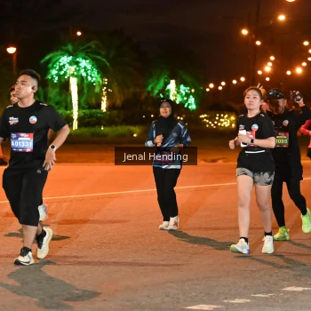 Runner Photo 3540208