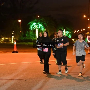 Runner Photo 3540216