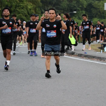 Runner Photo 3540247