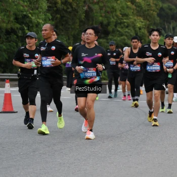 Runner Photo 3540294