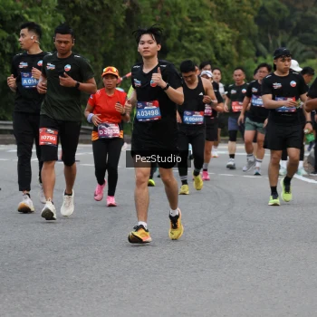 Runner Photo 3540307