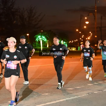 Runner Photo 3540331