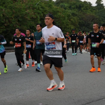 Runner Photo 3540376