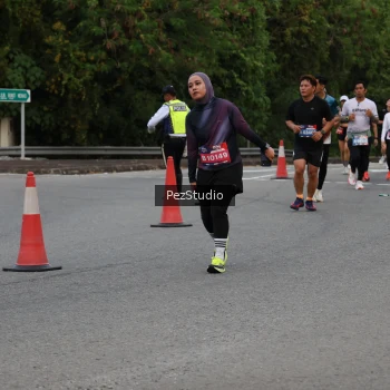 Runner Photo 3540529