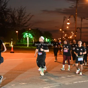 Runner Photo 3540536
