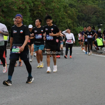 Runner Photo 3540557