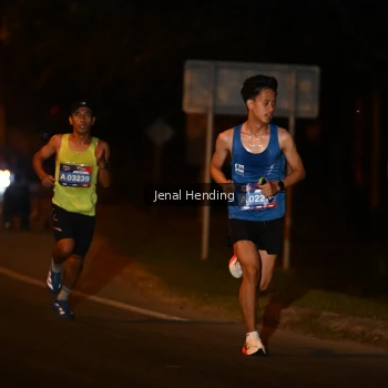 Runner Photo 3540563