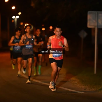 Runner Photo 3540583