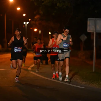 Runner Photo 3540584