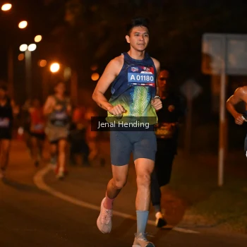 Runner Photo 3540586