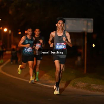 Runner Photo 3540592