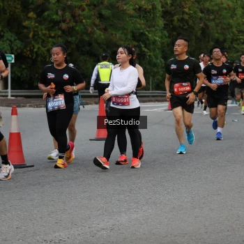 Runner Photo 3540598