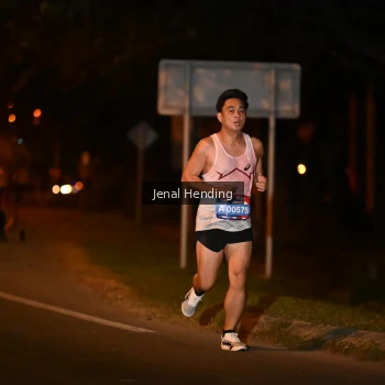 Runner Photo 3540609