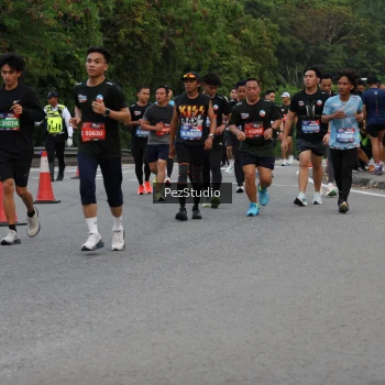 Runner Photo 3540632