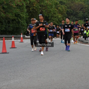 Runner Photo 3540678