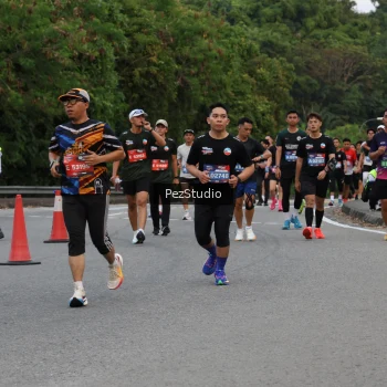 Runner Photo 3540679