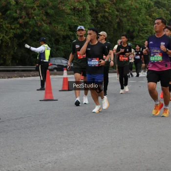 Runner Photo 3540685