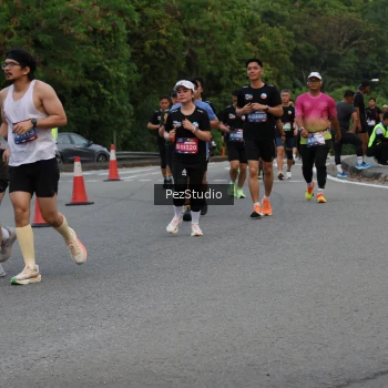 Runner Photo 3540794
