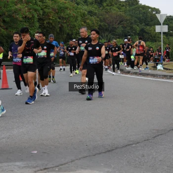 Runner Photo 3540816