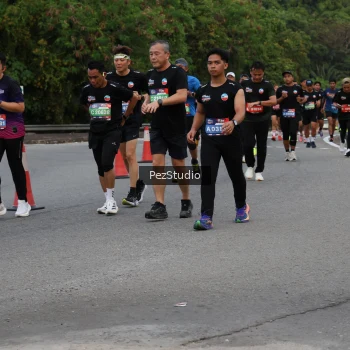Runner Photo 3540817