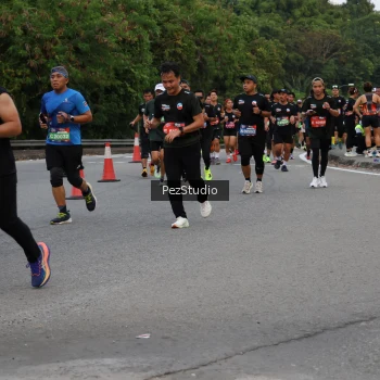 Runner Photo 3540819
