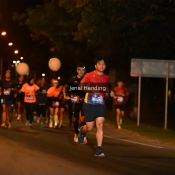 Runner Photo 3540897