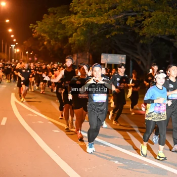 Runner Photo 3541053
