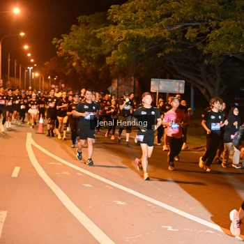 Runner Photo 3541055