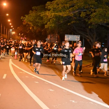 Runner Photo 3541057
