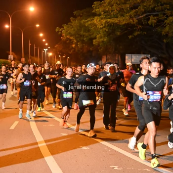 Runner Photo 3541081