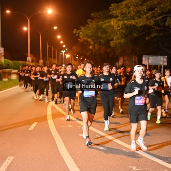 Runner Photo 3541083