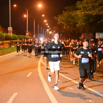 Runner Photo 3541084