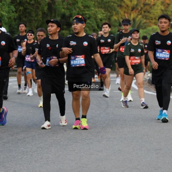 Runner Photo 3541125