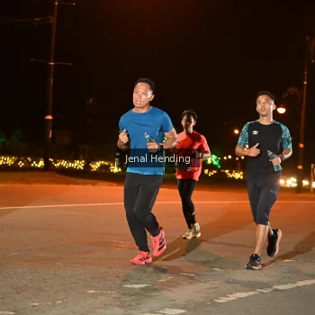 Runner Photo 3541138