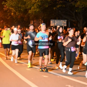 Runner Photo 3541142