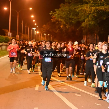 Runner Photo 3541257