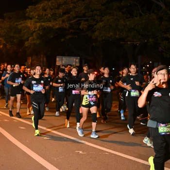 Runner Photo 3541309