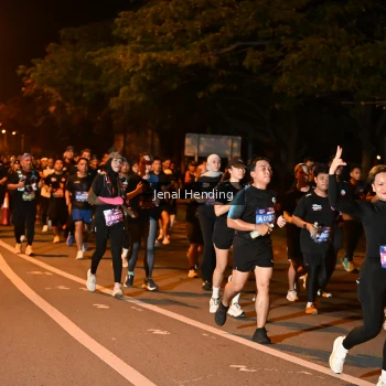 Runner Photo 3541312