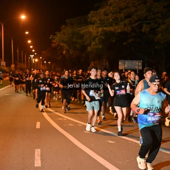 Runner Photo 3541366