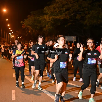 Runner Photo 3541386