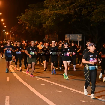Runner Photo 3541422