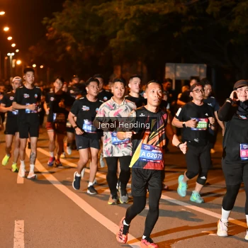 Runner Photo 3541454