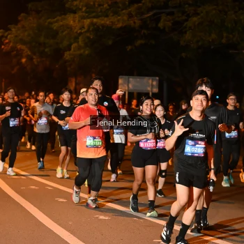 Runner Photo 3541502