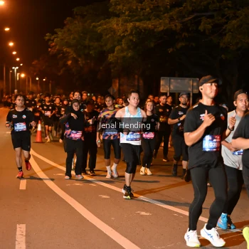 Runner Photo 3541505