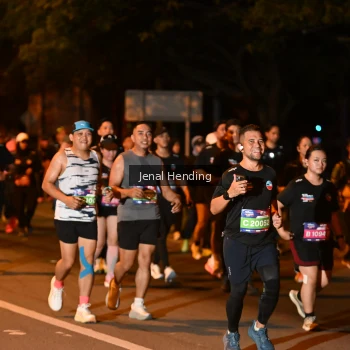 Runner Photo 3541529