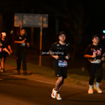 Runner Photo 3541570