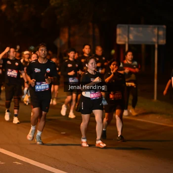 Runner Photo 3541574